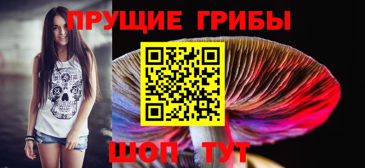Псилоцибиновые грибы Cubensis  Вход с VPN  Ижевск 